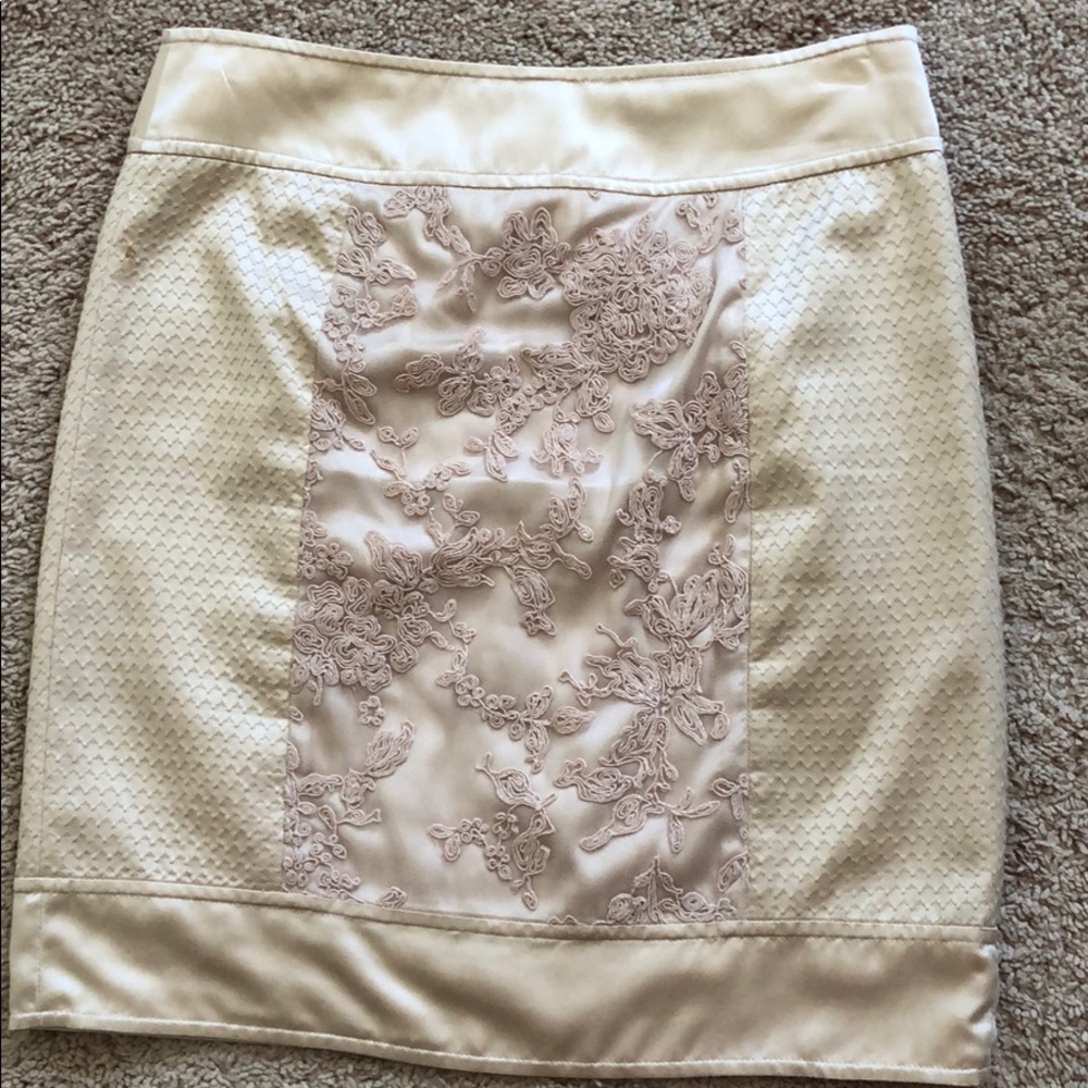 Beautiful BCBG  Maxazria skirt